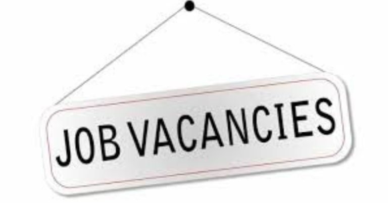 Climate Change & Children Jobs 2026: Earn $5,000–$12,000/Month in High-Demand NGO & UN Roles