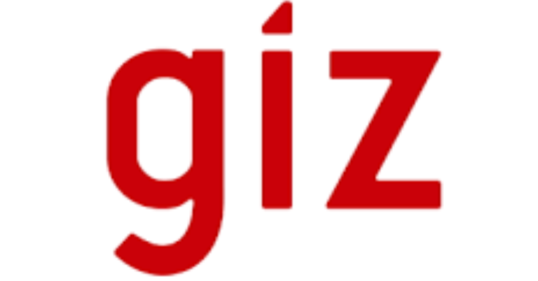Why a 2026 Research Internship at GIZ is Your Best Career Move Post-Graduation