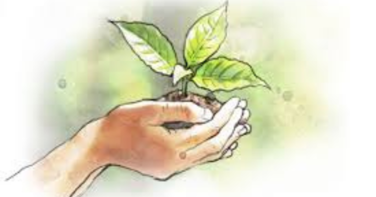 ClimateWorks Global Program Jobs 2026: Drive High-Impact Philanthropy for a Sustainable Future