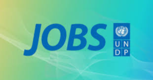 UNDP Graduate Programme 2026: Launch Your Global Career with a Prestigious United Nations Position